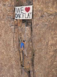 We Love Oak Flat We Love Oak Flat