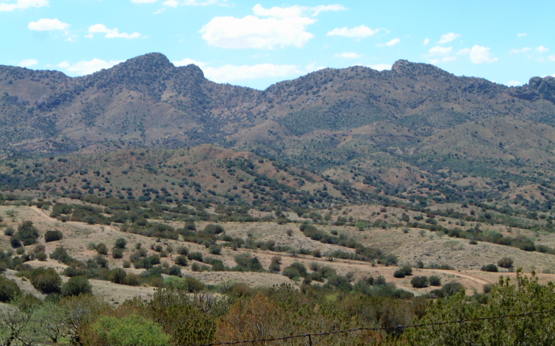 BREAKING NEWS: Judge Stops Rosemont Mine Project