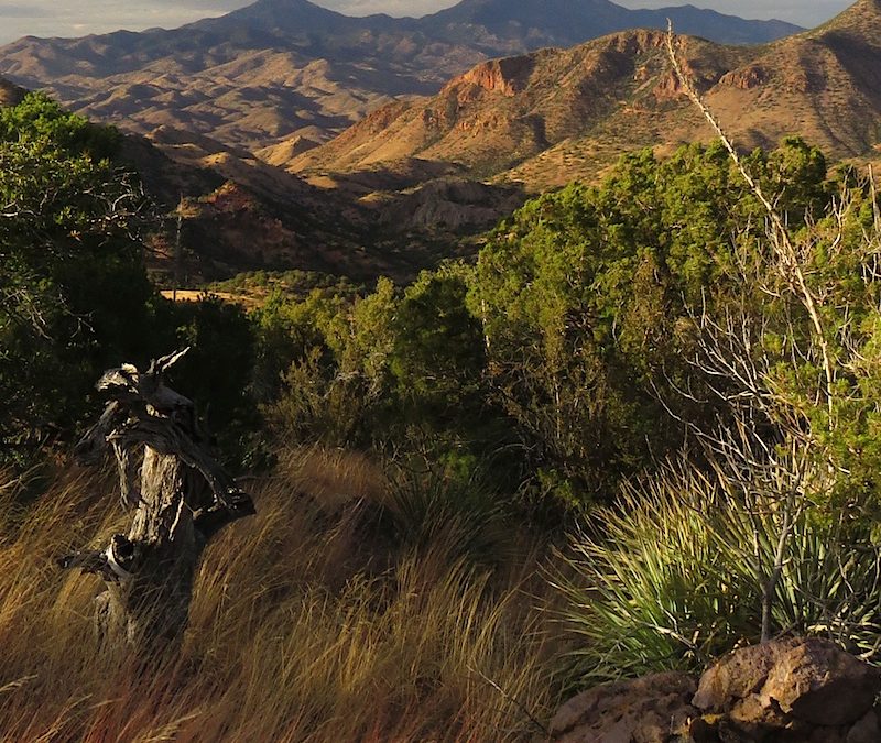 PROTECT THE PATAGONIA MOUNTAINS FROM ANOTHER MINING PROJECT